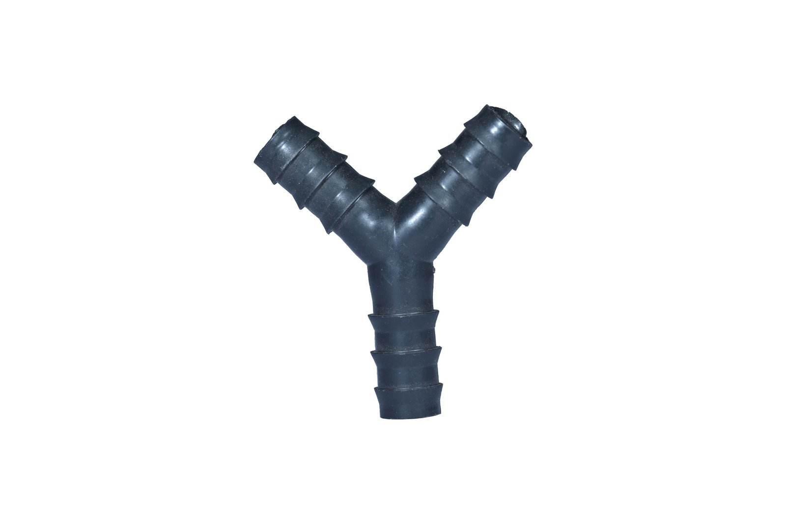 Y