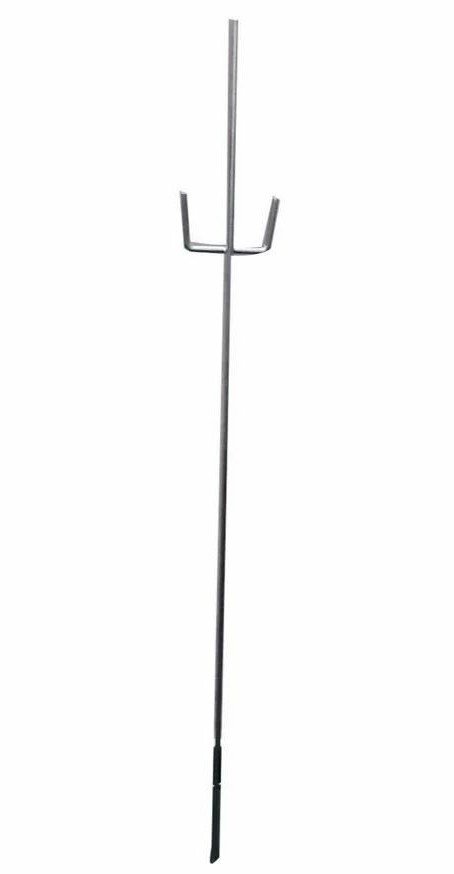 Trishul